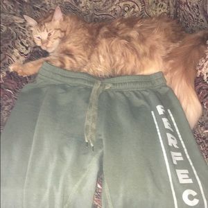 perfect 10 green sweats